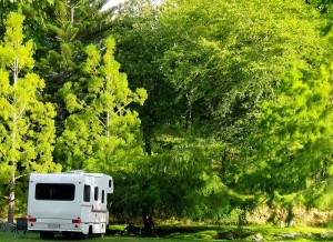 Camping at McLaren Falls