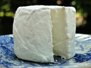cheese-567367_640