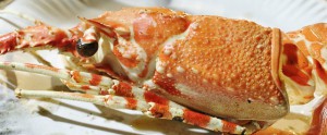 crab-638223_640