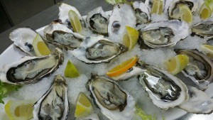 oysters-608905_640