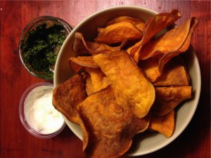 paleo-chips-694760_640