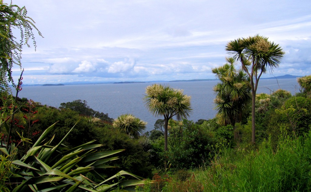 Tiritiri Matangi, New Zealand