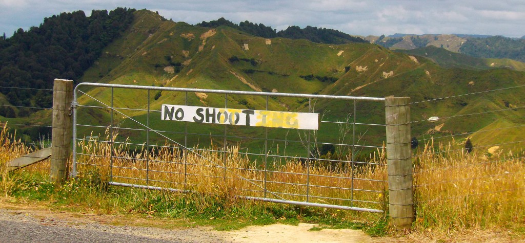 The Forgotten World Highway, New Zealand