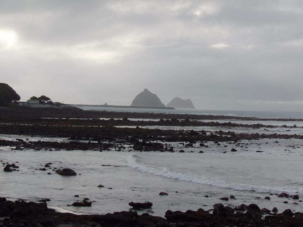 Coastal Walkway