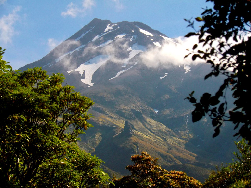 Taranaki, Egmont National Park by Abigail Simpson