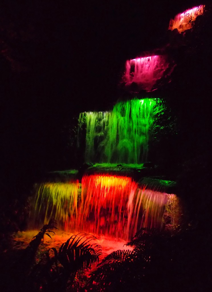 Pukekura Falls, Festival of Lights, New Plymouth