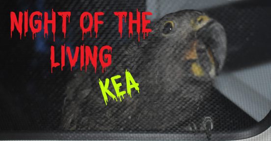 kea