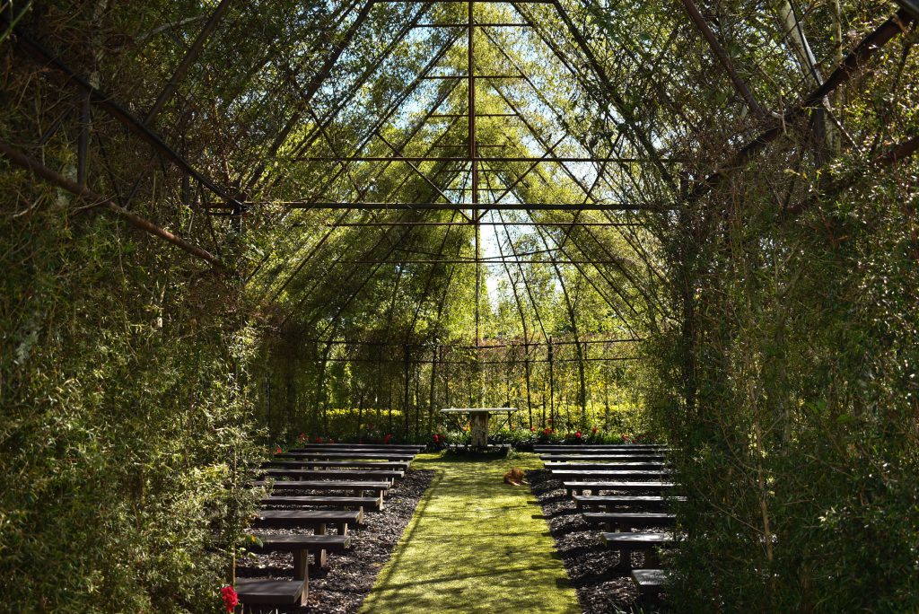 The Tree Church, Ohaupo, New Zealand