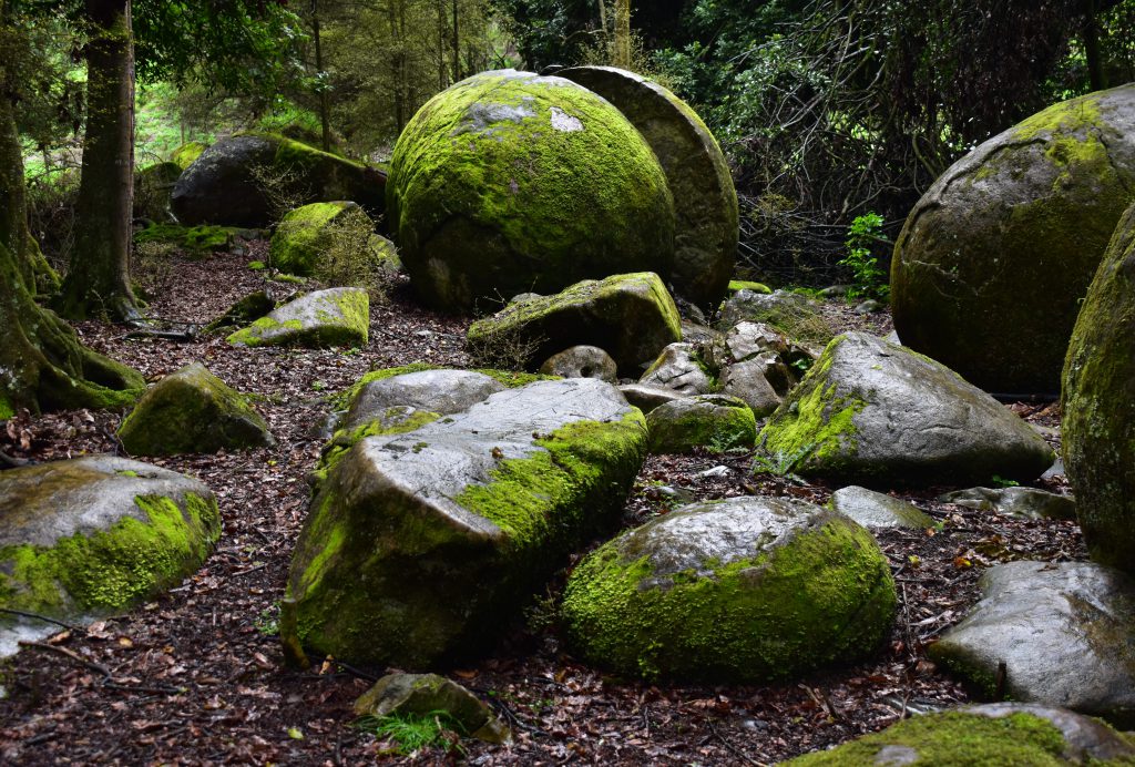 Whitecliffs Boulders